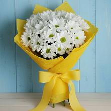 Букет цветов из:  Хризантемы в Талицах Ивановской области