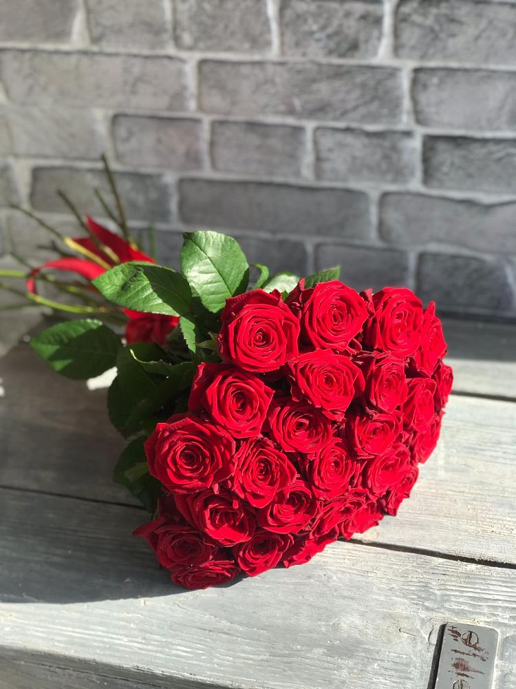 Букет Красные розы Фридом в Талицах Ивановской области