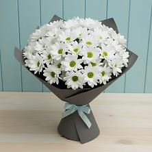 Букет цветов из:  Хризантемы в Талицах Ивановской области