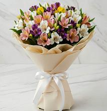 Букет цветов из:  Альстромерии в Талицах Ивановской области