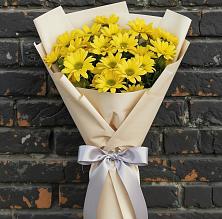 Букет цветов из:  Хризантемы в Талицах Ивановской области