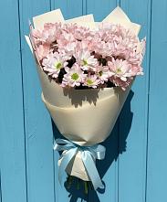 Букет цветов из:  Хризантемы в Талицах Ивановской области