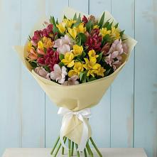 Букет цветов из:  Альстромерии в Талицах Ивановской области