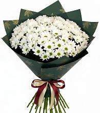 Букет цветов из:  Хризантемы #REPLACE_PRED# Талицах Ивановской области