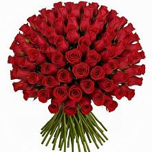 Букет Красные розы Чери Лав в Талицах Ивановской области