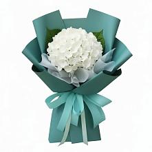 Букет цветов из:  Гортензия #REPLACE_PRED# Талицах Ивановской области